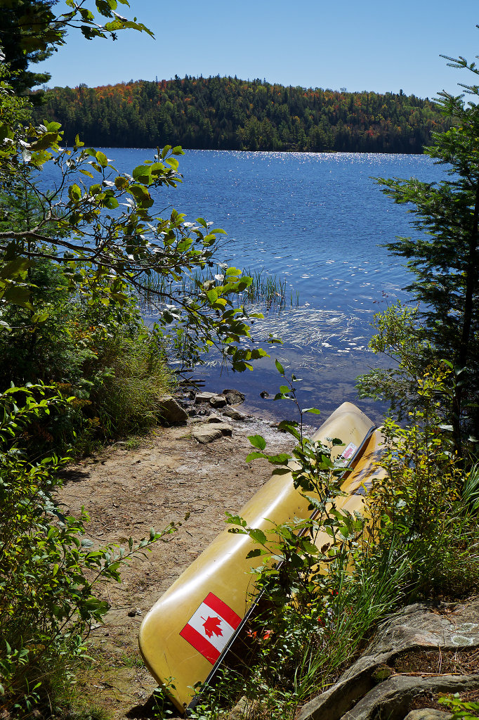 Camp site in the center of Tom Thomson Lake