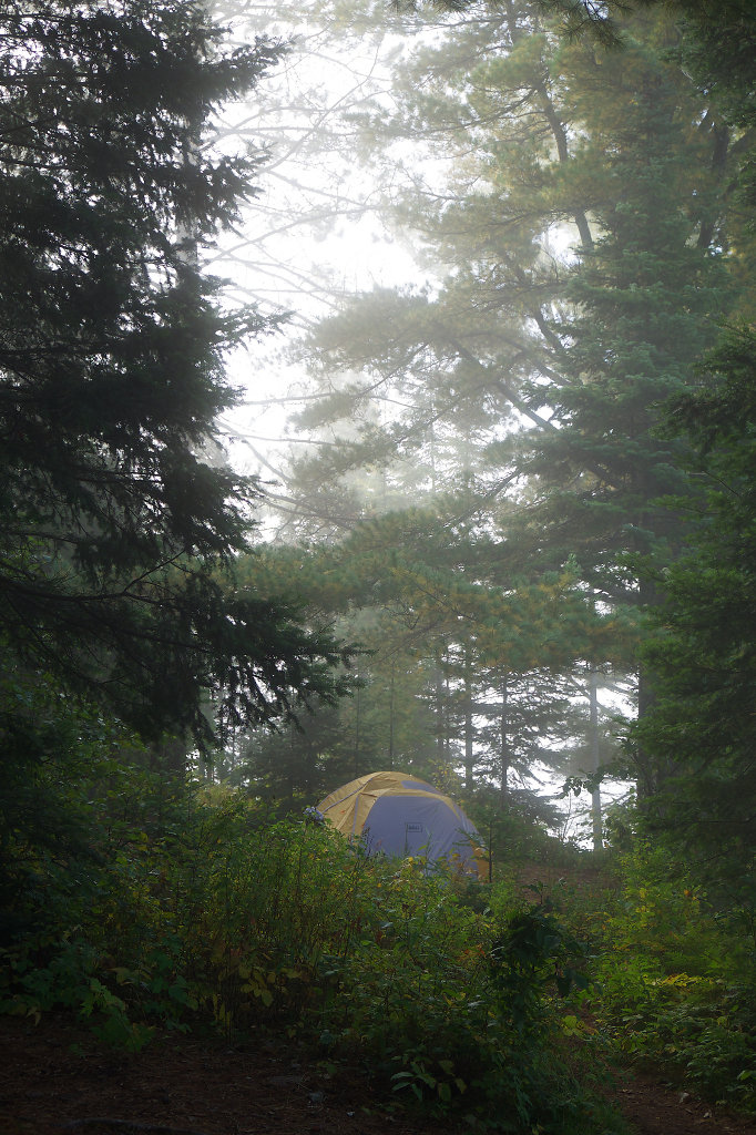 Misty moods at the camp site